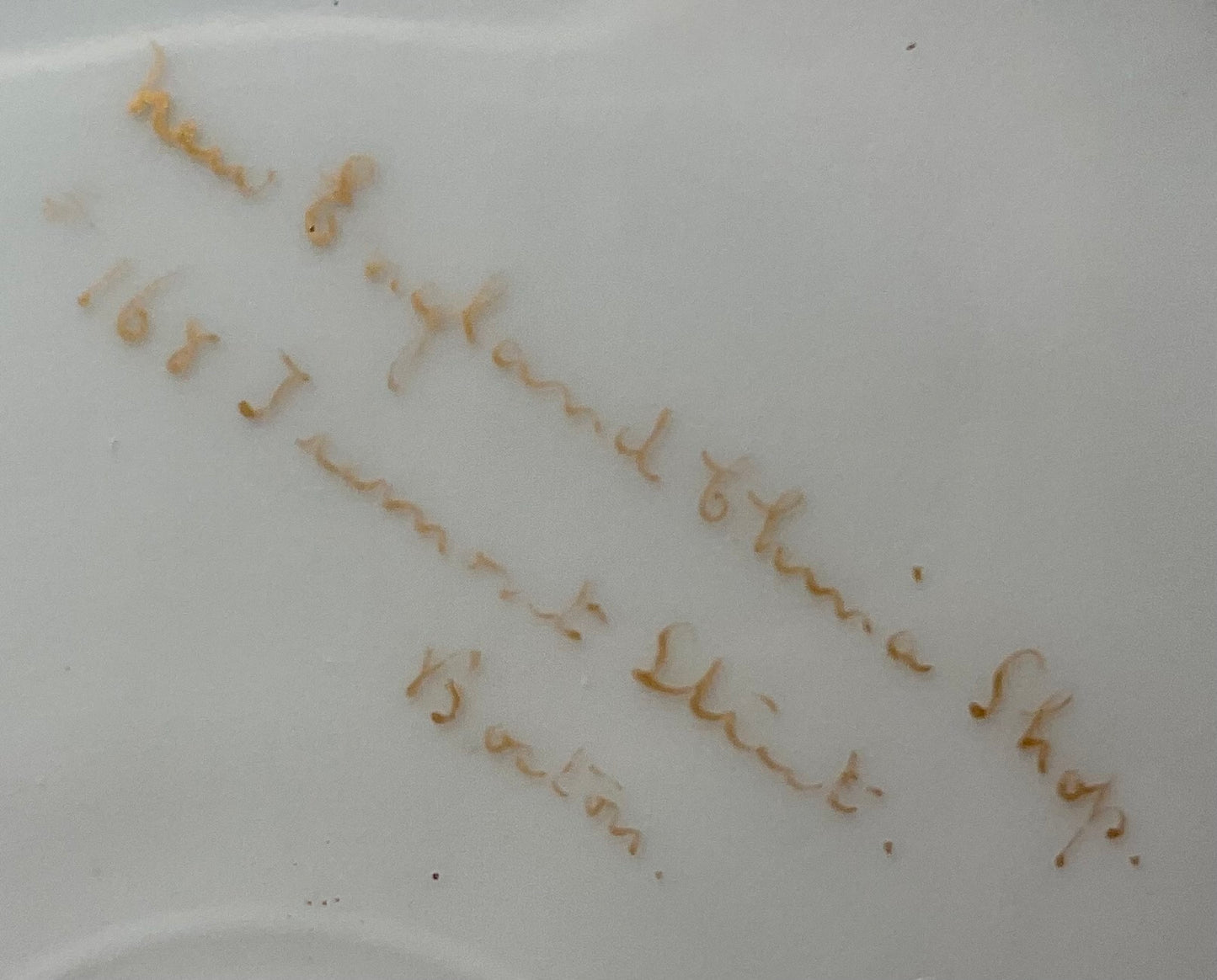 Hand Painted Porcelain Floral Dessert Plate